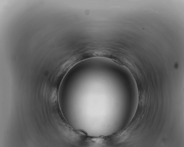 X0000090770478200707271531