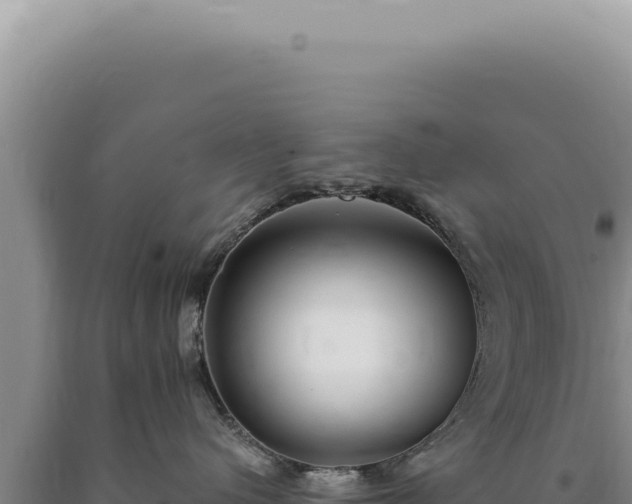 X0000090770480200707271531