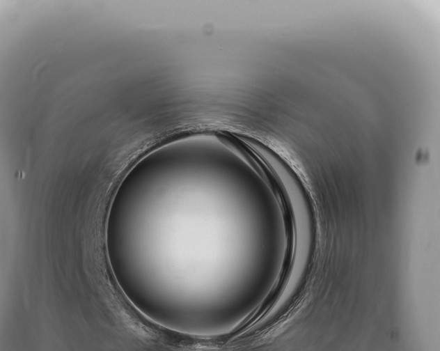 X0000090770481200707271531
