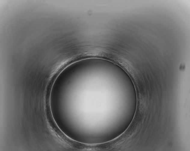 X0000090770482200707271530