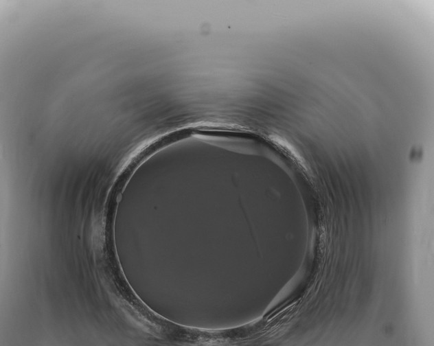 X0000090770484200707271530