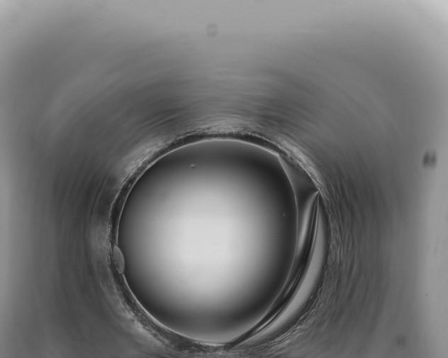 X0000090770485200707271530
