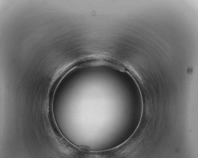 X0000090770486200707271530