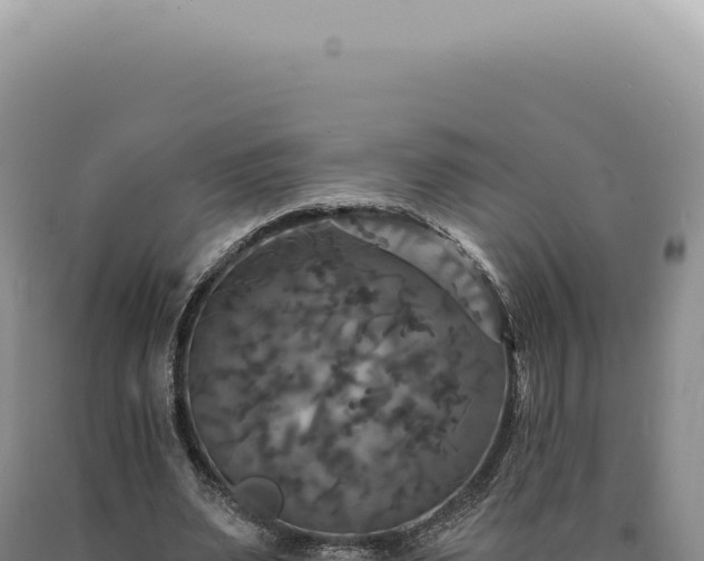 X0000090770487200707271530