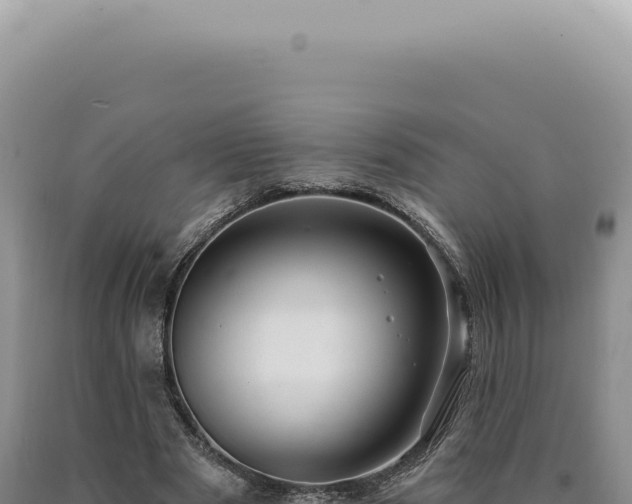 X0000090770489200707271530