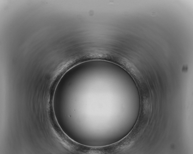 X0000090770490200707271530
