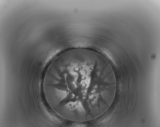 X0000090770491200707271530