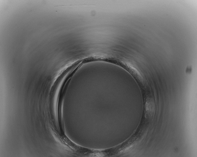 X0000090770492200707271530