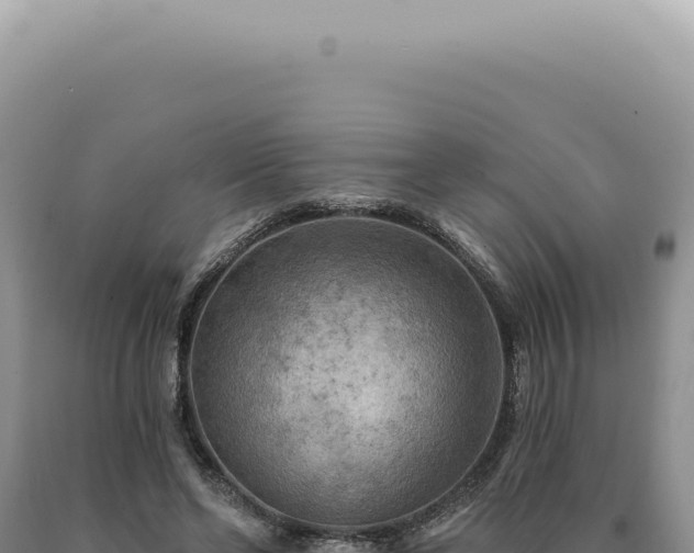 X0000090770494200707271530