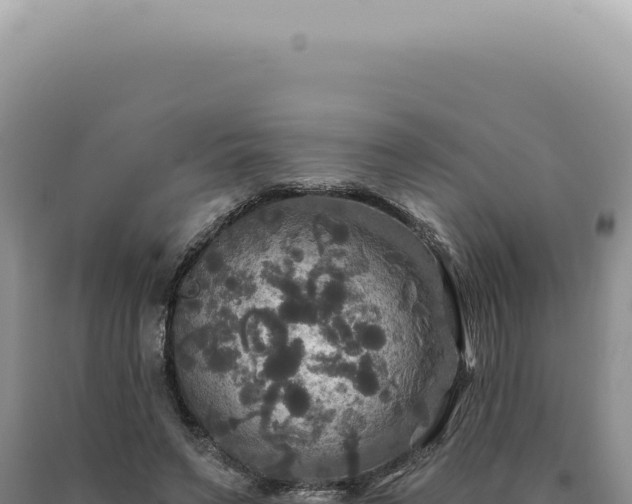 X0000090770495200707271530