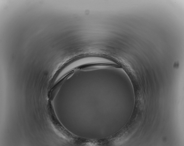 X0000090770496200707271530