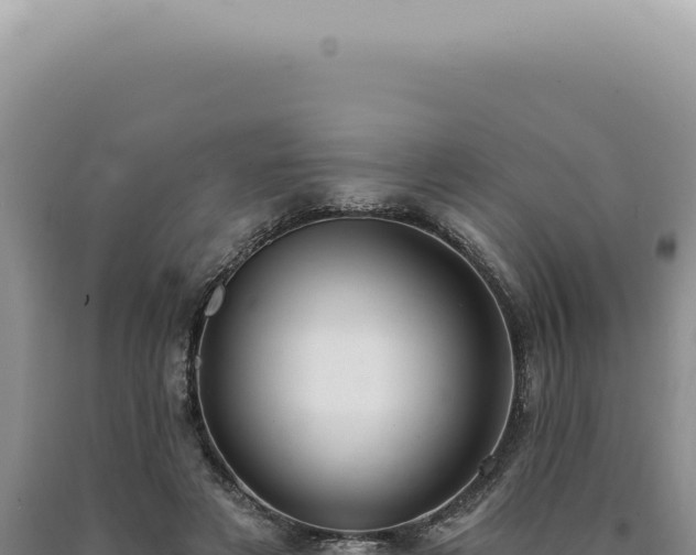 X0000090770497200707271530