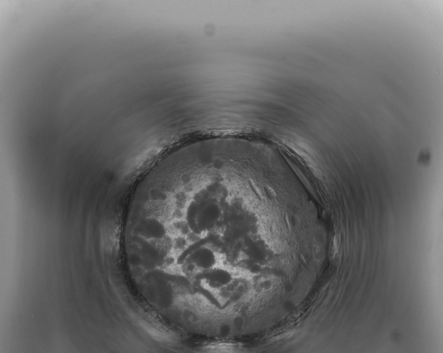 X0000090770499200707271530