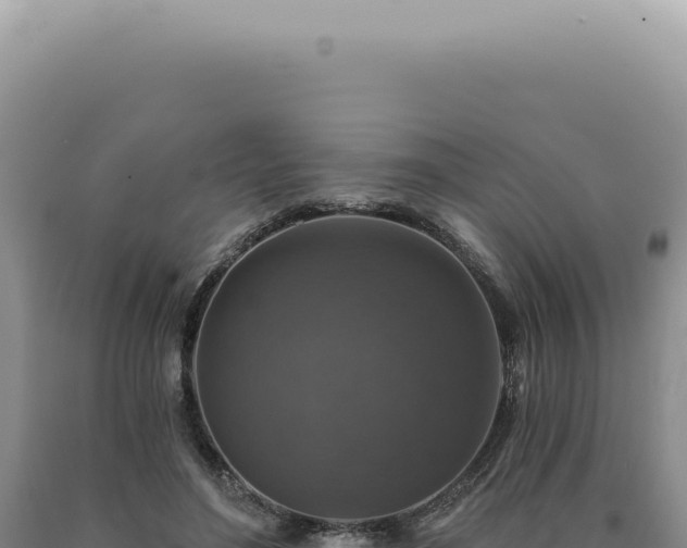 X0000090770500200707271530
