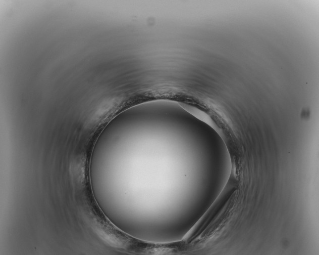 X0000090770501200707271530