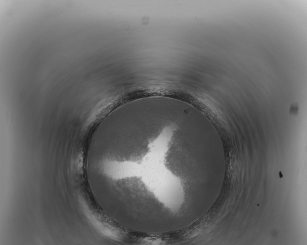 X0000090770502200707271530