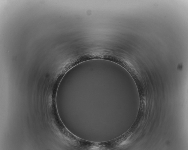X0000090770504200707271530