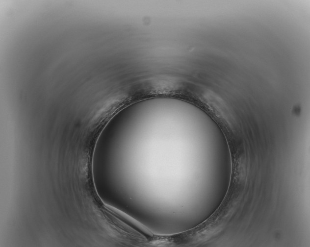 X0000090770505200707271530