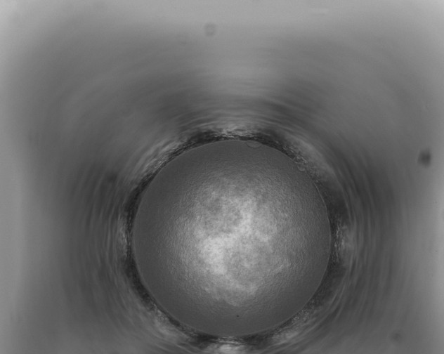 X0000090770506200707271530