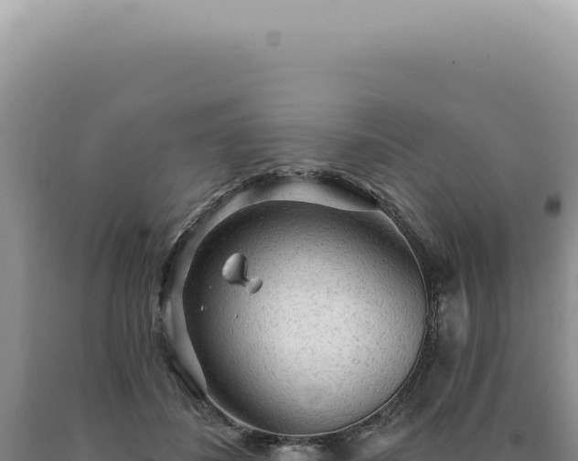 X0000090770508200707271530