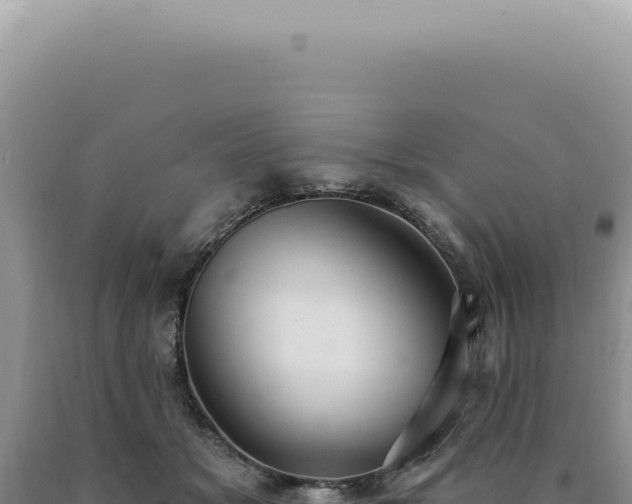X0000090770509200707271530