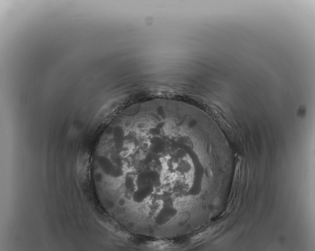 X0000090770511200707271530