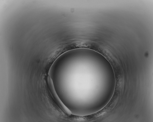 X0000090770513200707271530