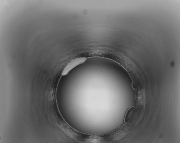 X0000090770514200707271530
