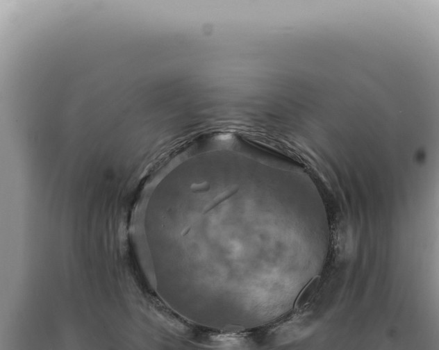 X0000090770516200707271530