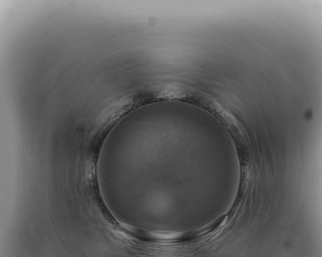 X0000090770517200707271530