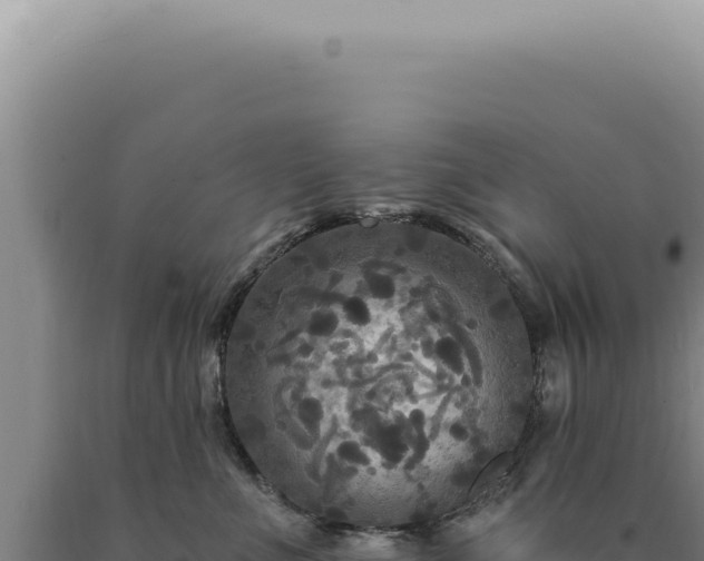 X0000090770523200707271530