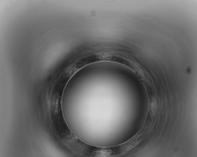 X0000090770525200707271530