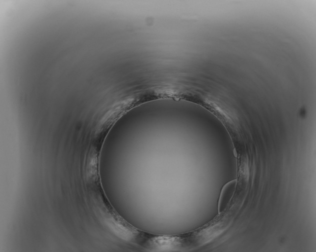 X0000090770526200707271530
