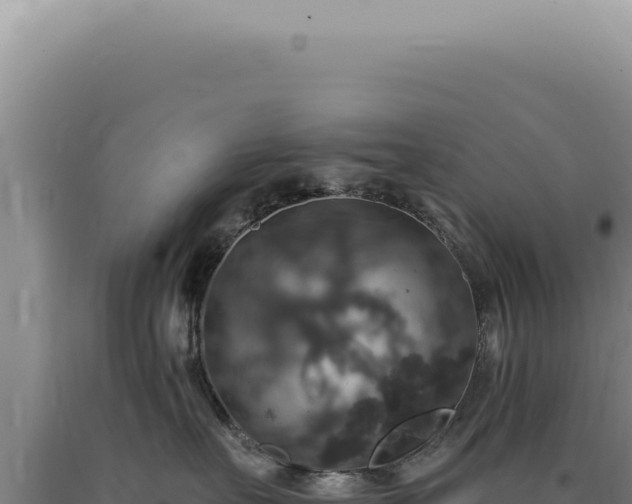 X0000090770527200707271530