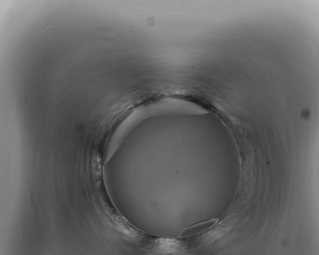 X0000090770528200707271530