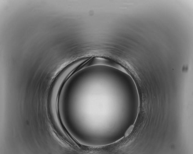 X0000090770530200707271529