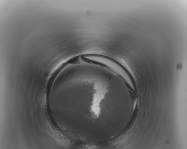 X0000090770531200707271529