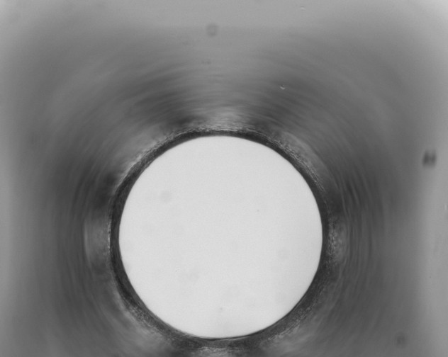X0000090770534200707271529