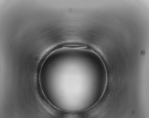 X0000090770535200707271529