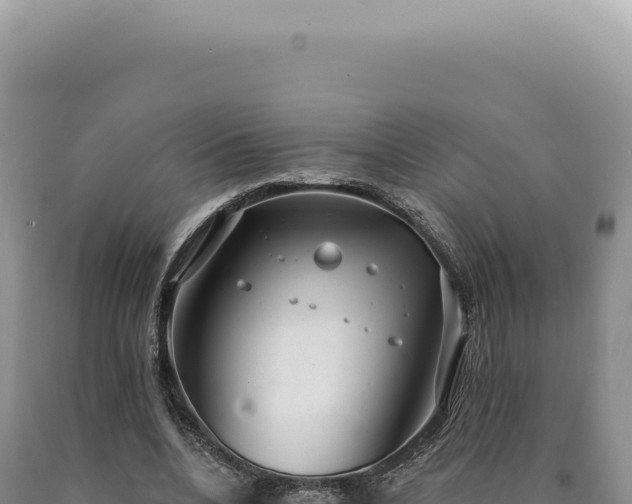 X0000090770536200707271529