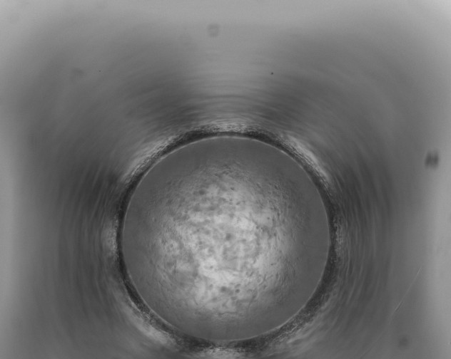 X0000090770537200707271529