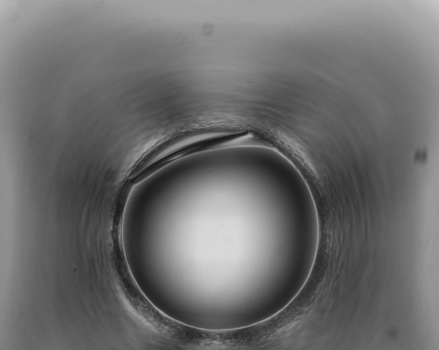 X0000090770538200707271529