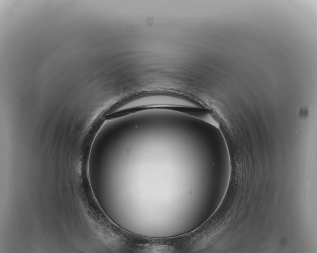 X0000090770539200707271529