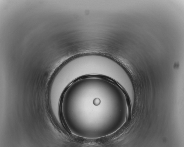 X0000090770540200707271529