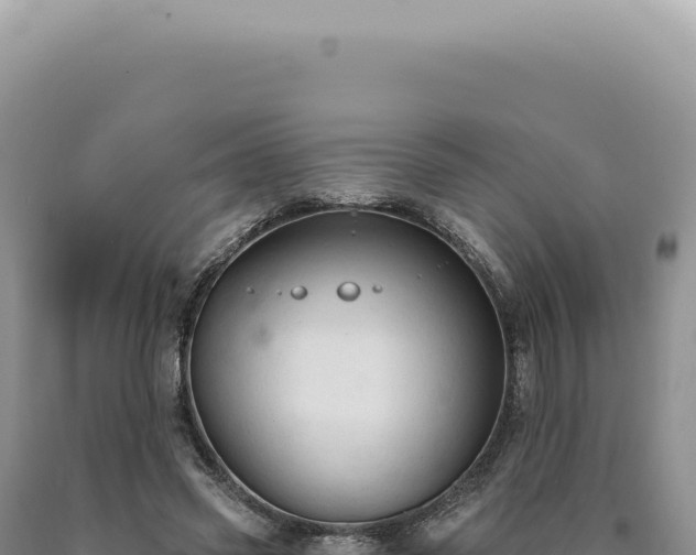 X0000090770541200707271529