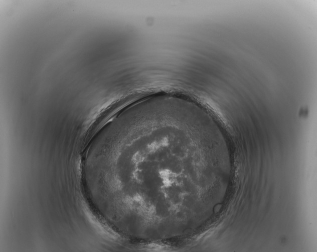 X0000090770542200707271529