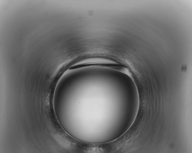 X0000090770543200707271529