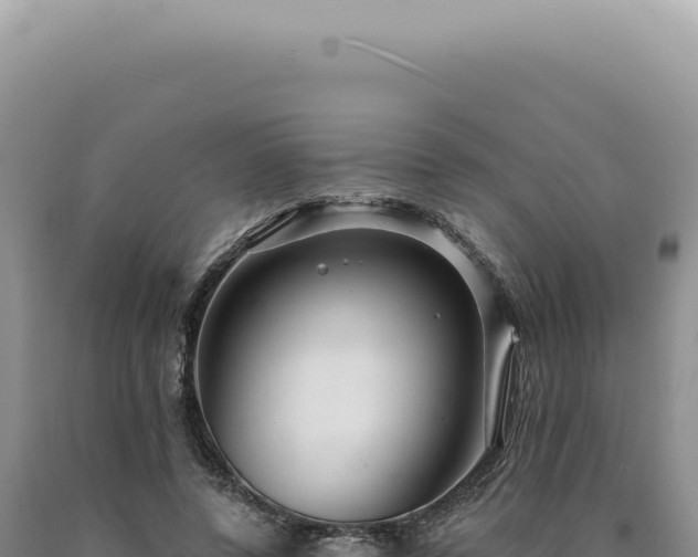 X0000090770544200707271529
