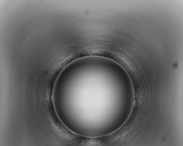 X0000090770546200707271529