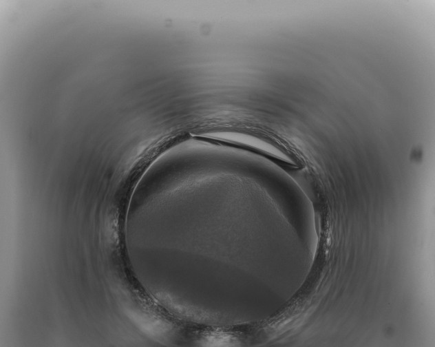 X0000090770547200707271529